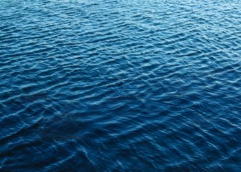 Recap: SEO-Campixx – 12/13. März 2016 am Müggelsee